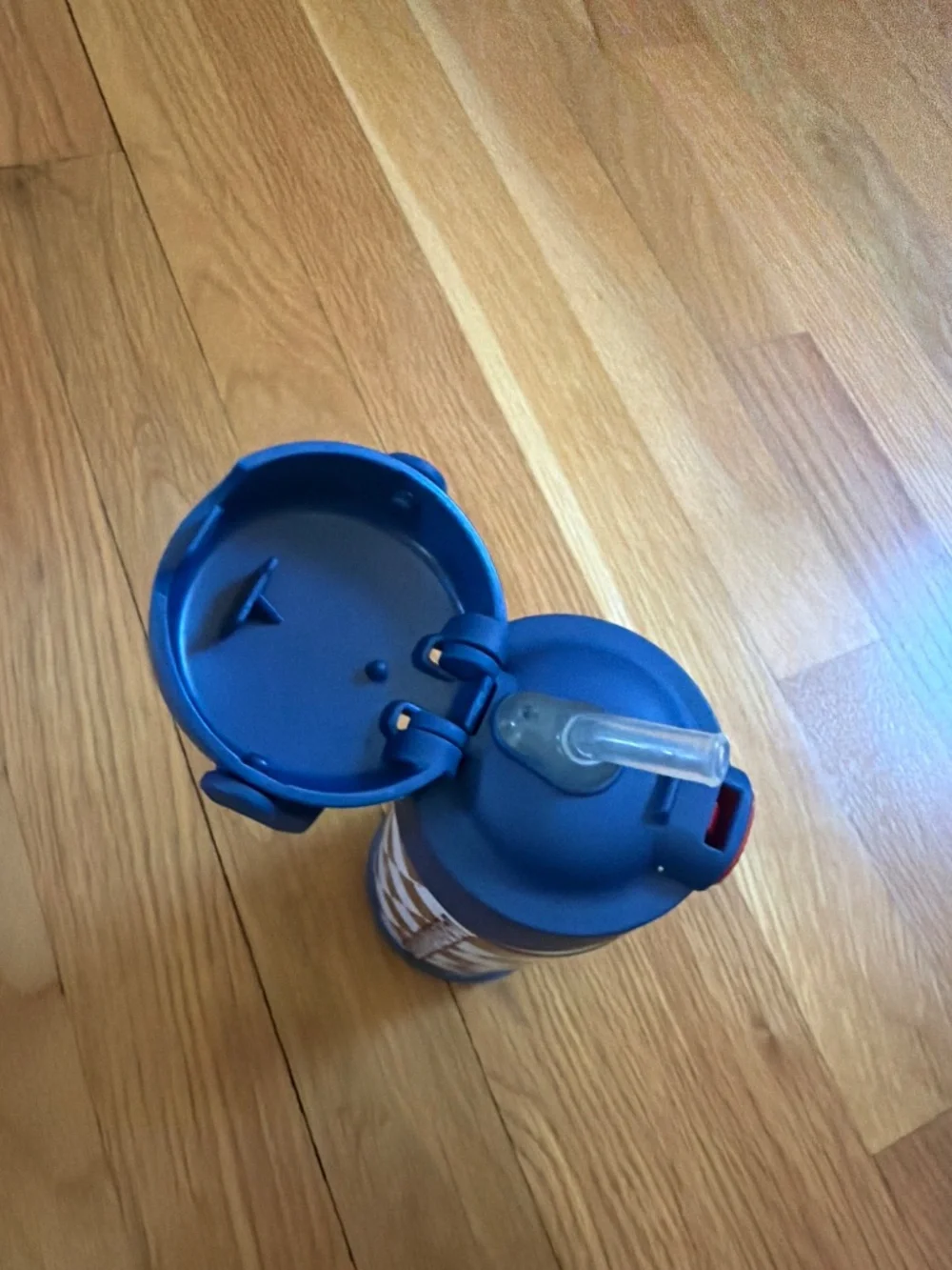 Thermos Mario kart water bottle